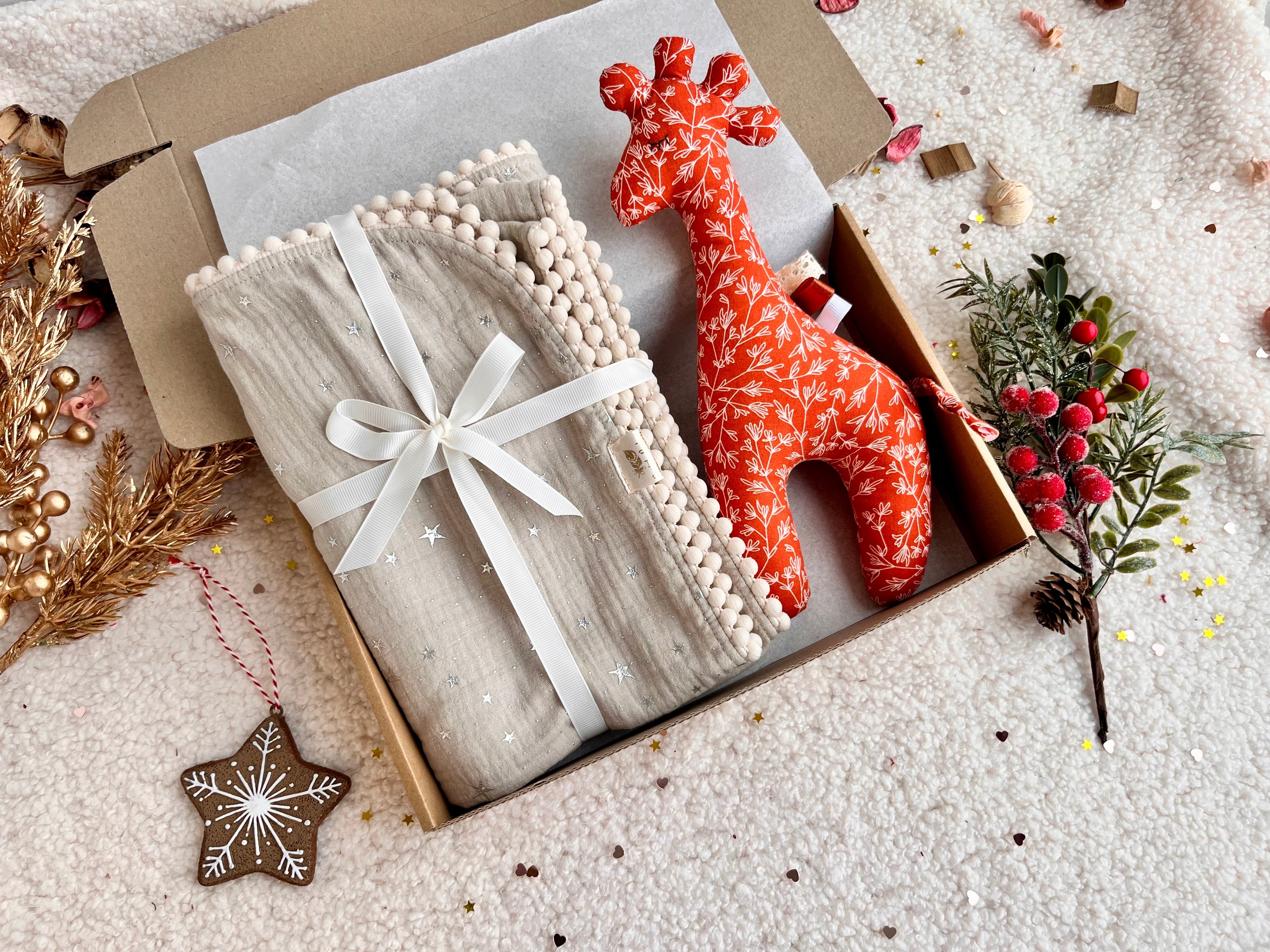 Christmas baby gift set